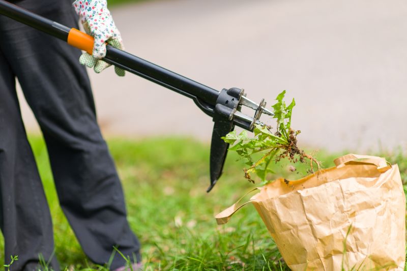 Cactus Removal Equipment Setup