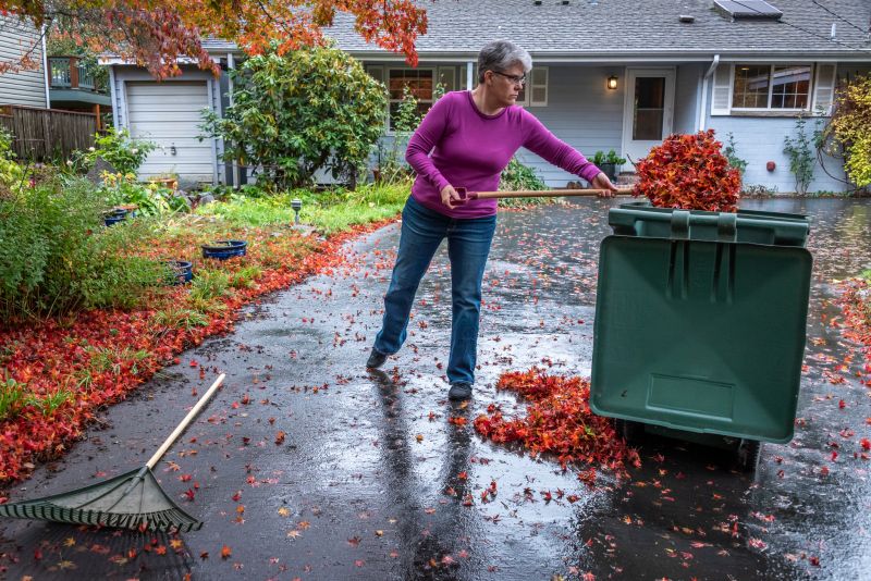 Residential Leaf Cleanup