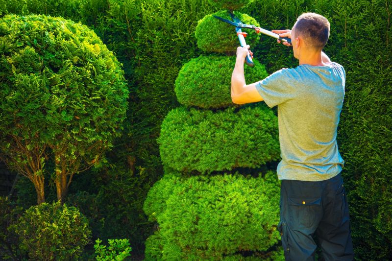 Detailed Shrub Shaping